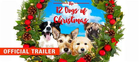 Watch 12 Dogs of Christmas - Official Trailer Online - Pure Flix