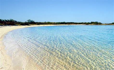 Tha amazing beach of Torre Guaceto near Ostuni, Salento, Italy. Puglia Beaches, Italy Beaches ...