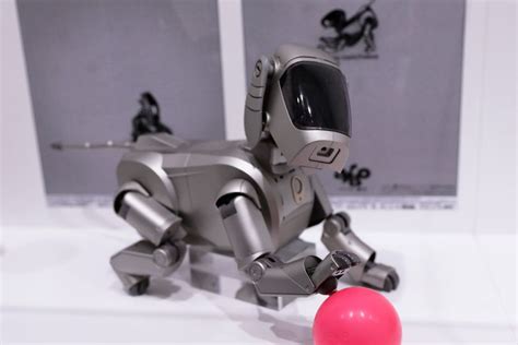 Aibo the robot dog will melt your heart with mechanical precision ...