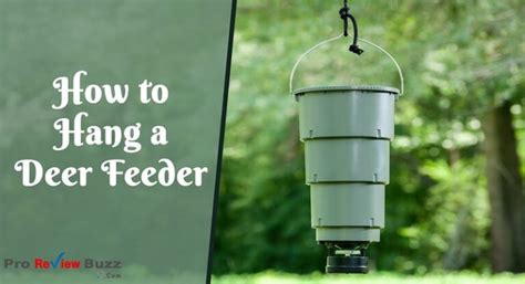 How to Hang a Deer Feeder - Guide