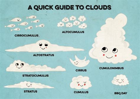 A Quick Guide to Clouds - print | Science for kids, Cloud activities ...