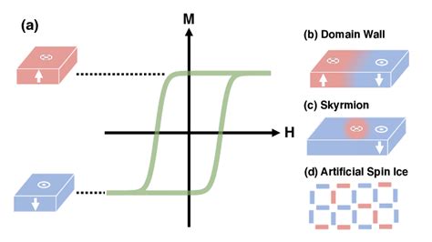 Magnetic hysteresis loop and complex magnetic textures. (a) Bistable ...