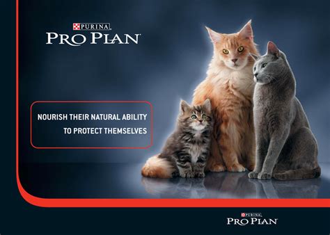 Nestlé Purina Pro Plan Rebrand Advertising Point of Sale — Toybox The Creative Communications ...