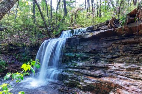 10 of The Best State Parks in Alabama • Alabama Bucket List