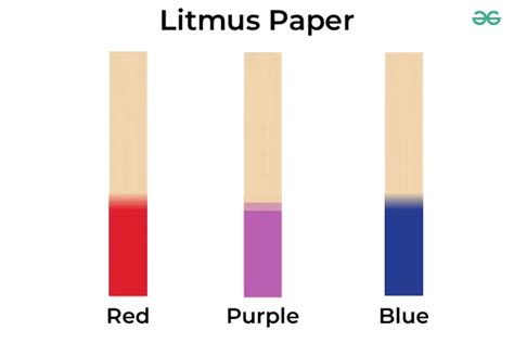 What is Litmus Paper? - Types, History, Colours, and Tests