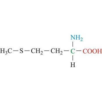 Methionine @ Chemistry Dictionary & Glossary