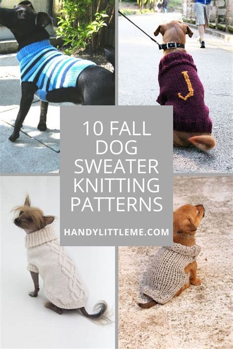 10 Beautiful Fall Dog Sweater Knitting Patterns | Large dog sweaters, Knitting patterns free dog ...