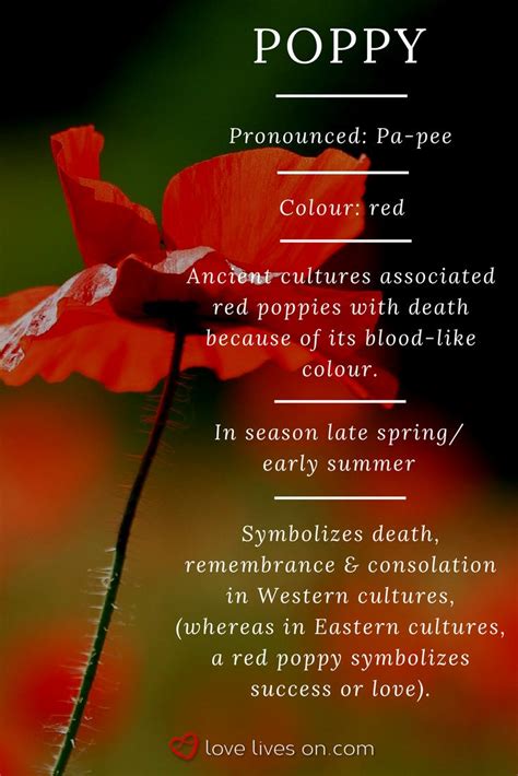 25+ bästa Poppy appeal idéerna på Pinterest | Remembrance day, Virkad ...