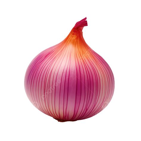 Onion Transparent Background, Fresh, Transparent, Vegetable PNG Transparent Clipart Image and ...