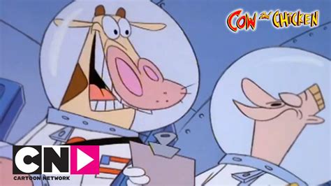 cow and the chicken cartoon - Chicken Cartoon