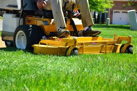 Best Time to Mow Your Lawn – Grass Cutting 101