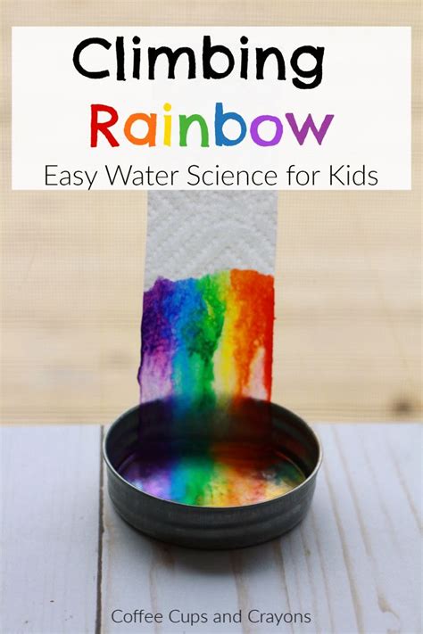 Climbing Rainbow Science Experiment | Science experiments kids ...