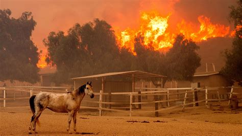 Southern California wildfire forces thousands to evacuate | kgw.com