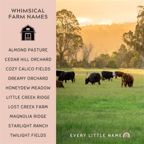 120+ Best Farm Names (Whimsical, Funny, and Catchy) - Every Little Name