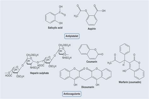 Blood disorders | Basicmedical Key