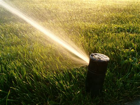 A Quick Guide to Summer Lawn Irrigation