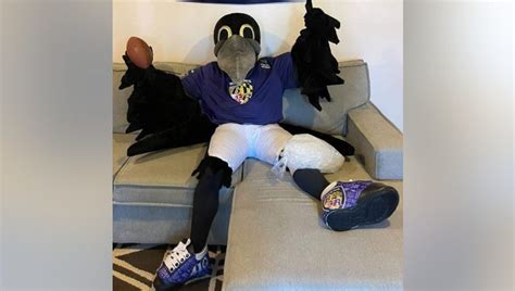 Ravens mascot Poe suffers serious drumstick injury, team searching for ...