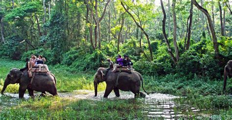 Chitwan National Park Tour - Snow Leopard Trek