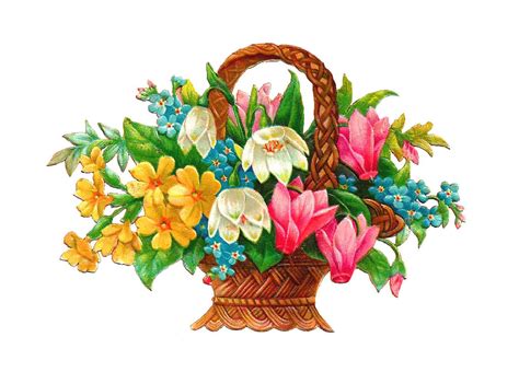 Floral baskets, Flower basket, Flower drawing