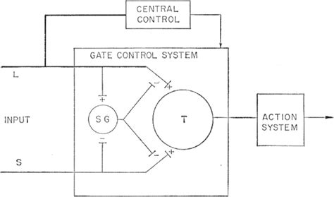 A schematic of gate control theory. Adapted from Melzack and Wall.16 ...