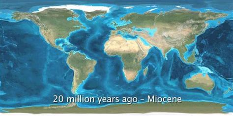 Oligocene, Miocene, and Pliocene epoch timeline | Timetoast timelines