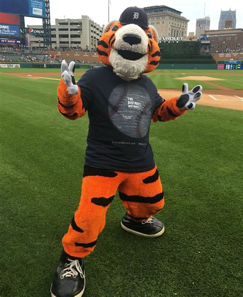 PAWS on Twitter | Detroit tigers, Mascot, Paw