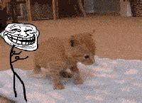 troll face animated gif - Comics And Memes