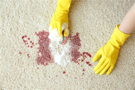 4 Ways To Remove Blood Stains From Carpet Tidylife