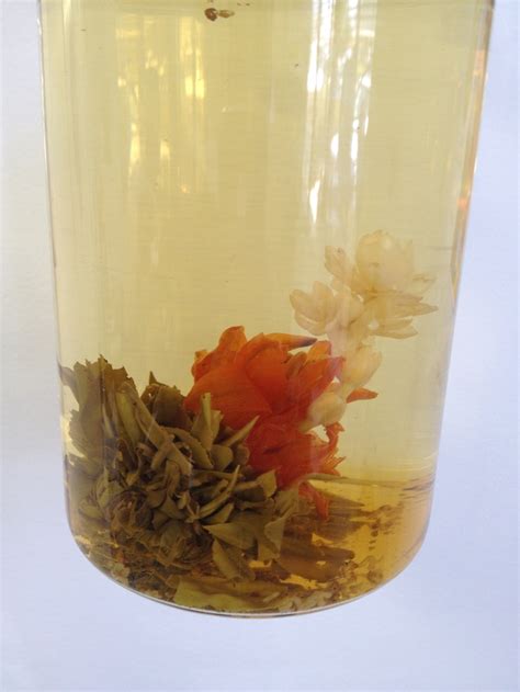 Flowering Tea tea | Flower tea, Tea