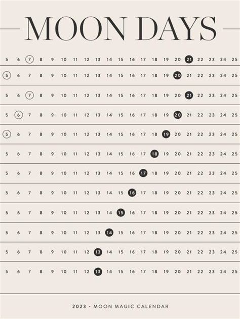 Fases De La Luna Enero 2023 Colombia