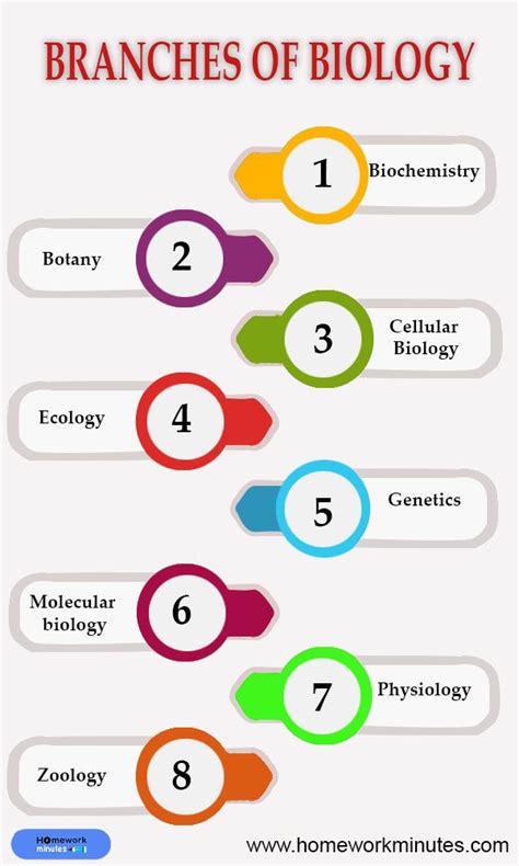 Branches of biology – Artofit