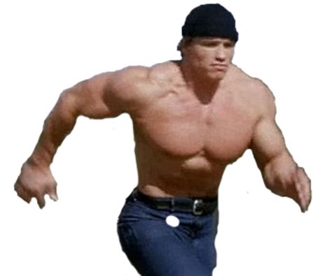 Arnold Schwarzenegger, Celebrity, Icon Free PNG