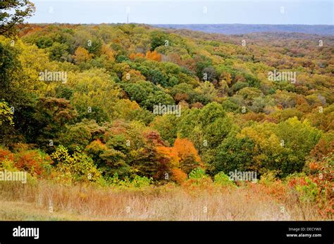 Brown County State Park Stock Photo - Alamy