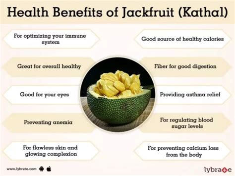 Unripe Jackfruit Nutrition Facts | Besto Blog