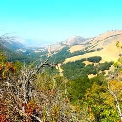 Sunol Regional Wilderness Area - 358 Photos - Parks - Sunol, CA ...