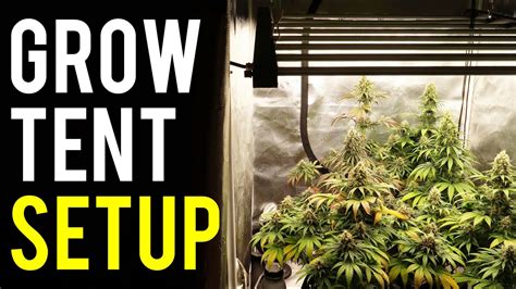 COMPLETE 4x4 GROW TENT SETUP 2020! - YouTube