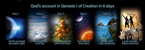 The 7 Days Of Creation In Order