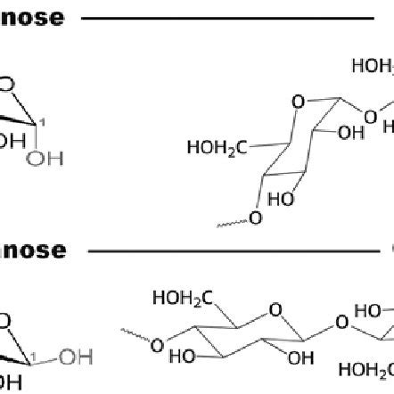 Examples of some sources and uses of cellulose: Pictures showing... | Download Scientific Diagram