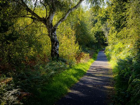 Things to Look Out for When Using Light and Shadow in a Landscape Photo ...