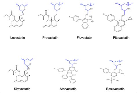 | Chemical structure of hydrophilic and lipophilic statins. | Download ...