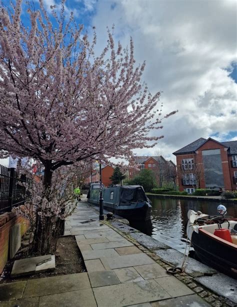 13+ Best Canal Walks in Manchester and Around - Manchester Pocket Guide