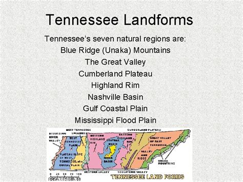 Tennessee Landforms There are many landforms in Tennessee