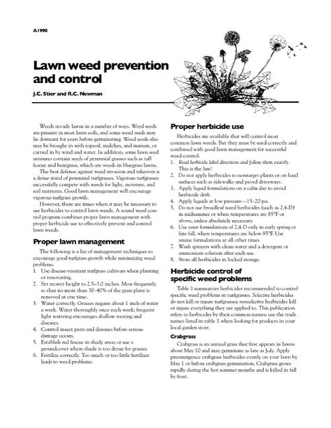 Lawn Weed Prevention and Control — The Learning Store