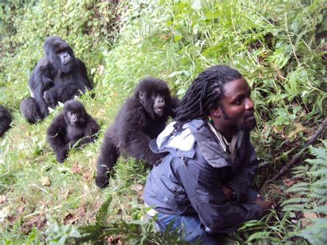 Gorilla Safaris | Uganda and Rwanda Tours | Gorilla Trek Africa ...