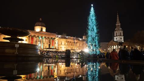 Trafalgar Square Christmas tree lit after ‘sparse’ spruce jibes