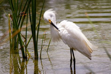 9 Best Spring Break Destinations in Texas - Wandernity