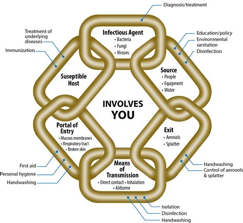 Chain Of Infection Diagram Printable