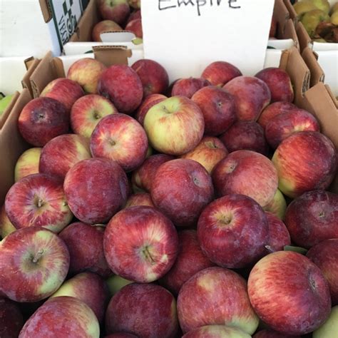 Empire Apples Information, Recipes and Facts