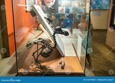 Mauritius, December 10, 2019: DoDo Bird at the Museum Editorial Stock Image - Image of extinct ...