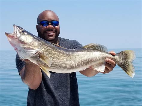 FishingBooker: Walleye Fishing: The Complete Guide